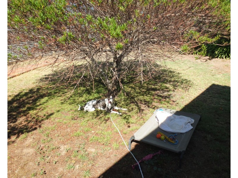 17 Faraday Street, Avoca VIC 3467