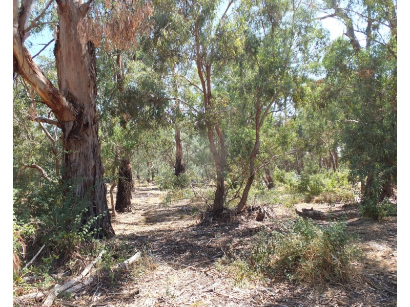 Lot 16 High Street, Redbank VIC 3477