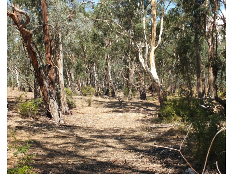 Lot 16 High Street, Redbank VIC 3477