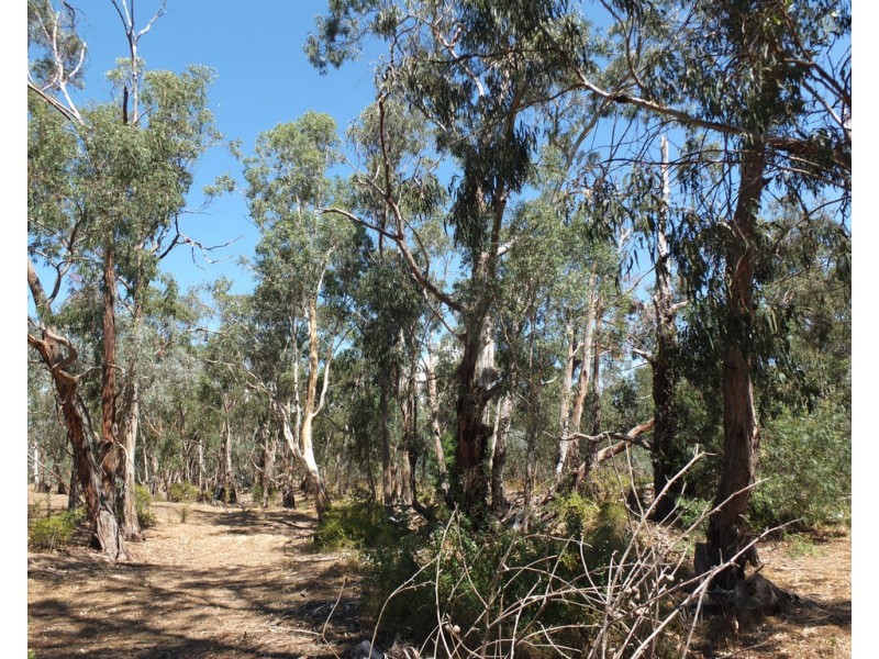 Lot 16 High Street, Redbank VIC 3477