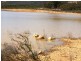 136 Black Mares Lane, Moonambel VIC 3478
