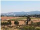 136 Black Mares Lane, Moonambel VIC 3478