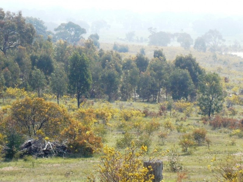 136 Black Mares Lane, Moonambel VIC 3478