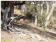 136 Black Mares Lane, Moonambel VIC 3478