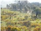 136 Black Mares Lane, Moonambel VIC 3478