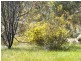 136 Black Mares Lane, Moonambel VIC 3478