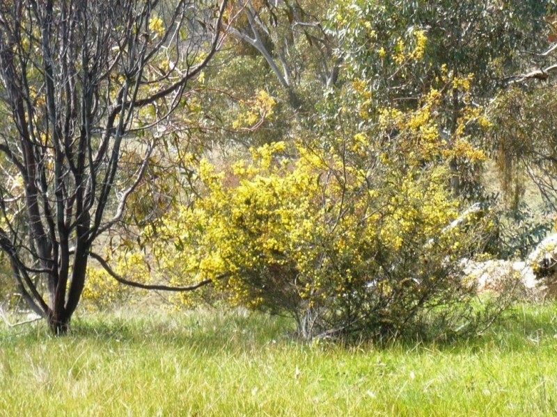 136 Black Mares Lane, Moonambel VIC 3478