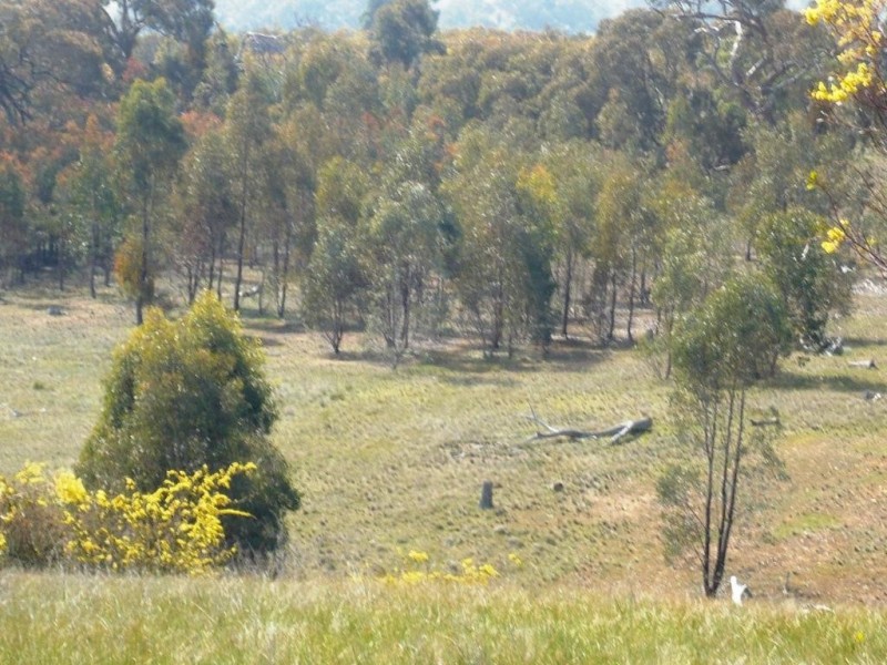 136 Black Mares Lane, Moonambel VIC 3478