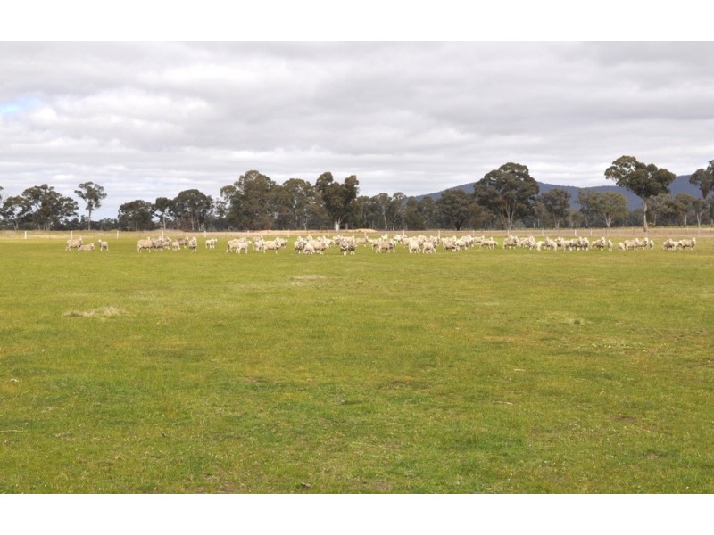 21 – 52 Dawsons Road, Avoca VIC 3467