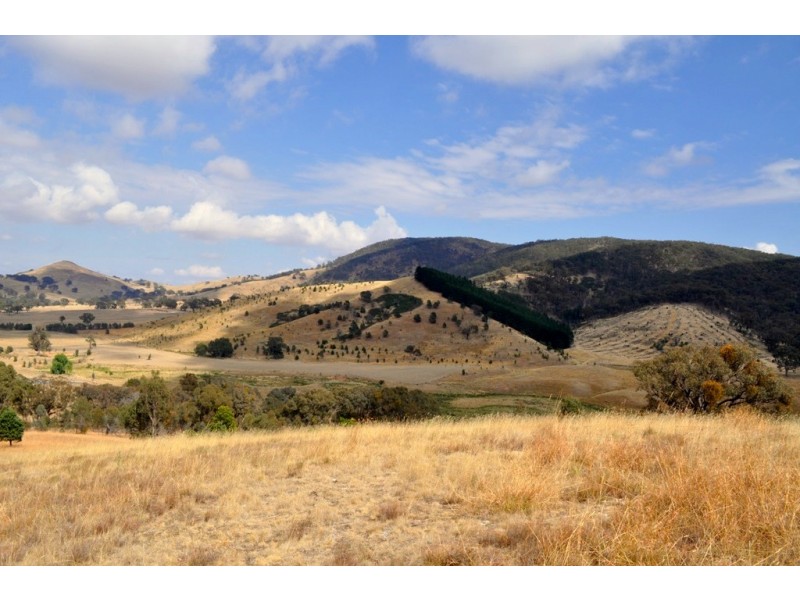 266 Nowhere Creek Road, Nowhere Creek VIC 3469