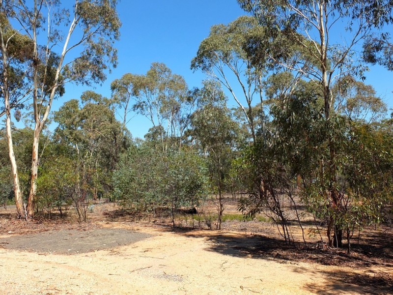 51 Russell Street, Avoca VIC 3467