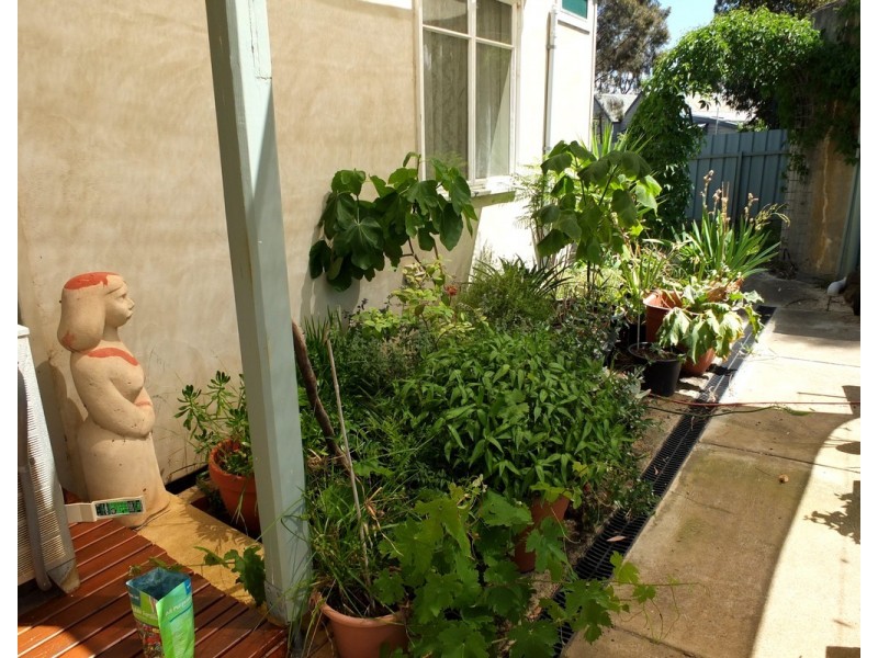 26 Mountain View Street, Avoca VIC 3467