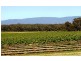 Avoca VIC 3467