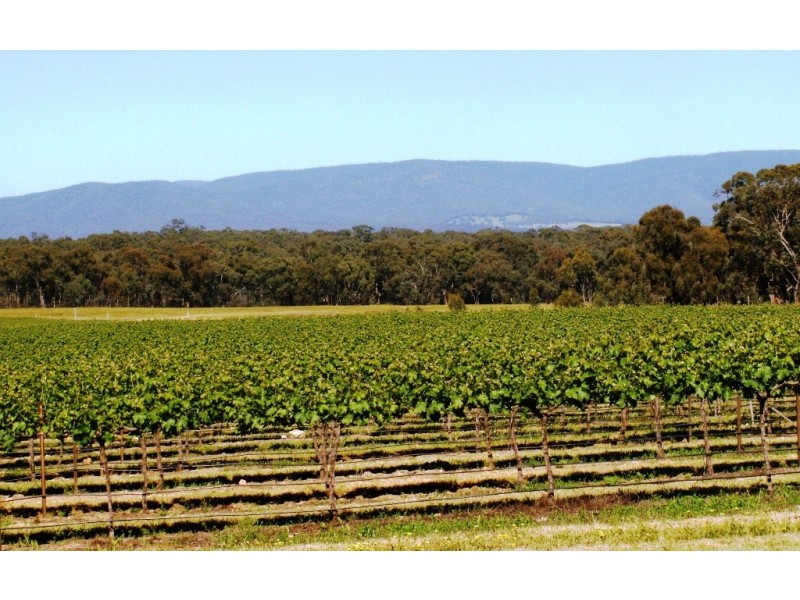 Avoca VIC 3467