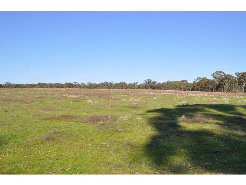 Avoca VIC 3467