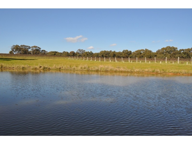 Avoca VIC 3467