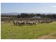Avoca VIC 3467