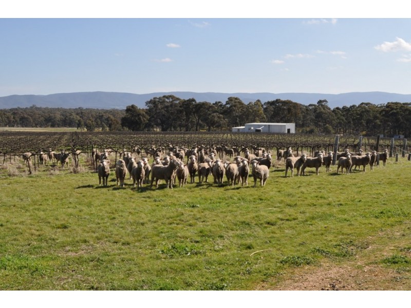 Avoca VIC 3467