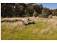 Lot 13 Lennons Lane, Landsborough VIC 3384
