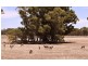 Lot 26 and 26A Landsborough Road, Landsborough VIC 3384