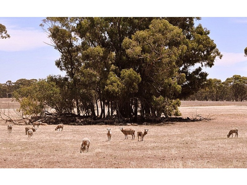Lot 26 and 26A Landsborough Road, Landsborough VIC 3384