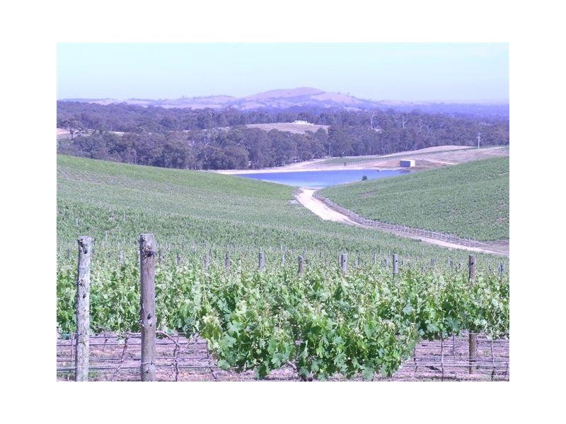 Landsborough VIC 3384