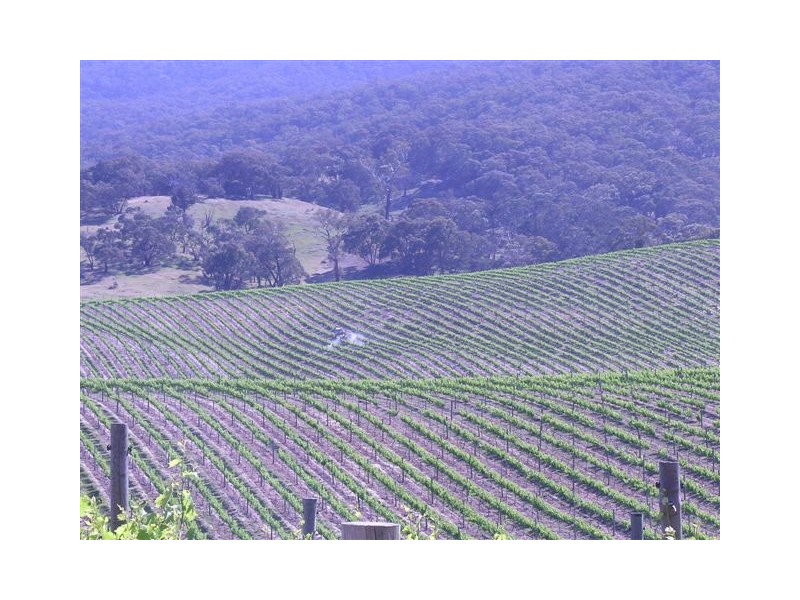 Landsborough VIC 3384