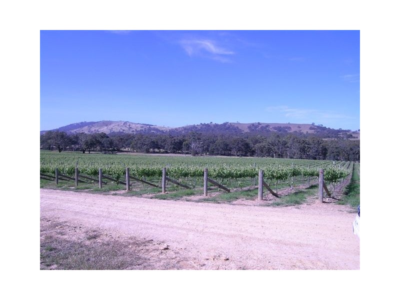 Landsborough VIC 3384