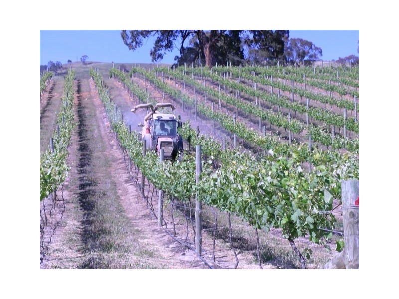 Landsborough VIC 3384