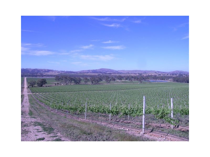 Landsborough VIC 3384