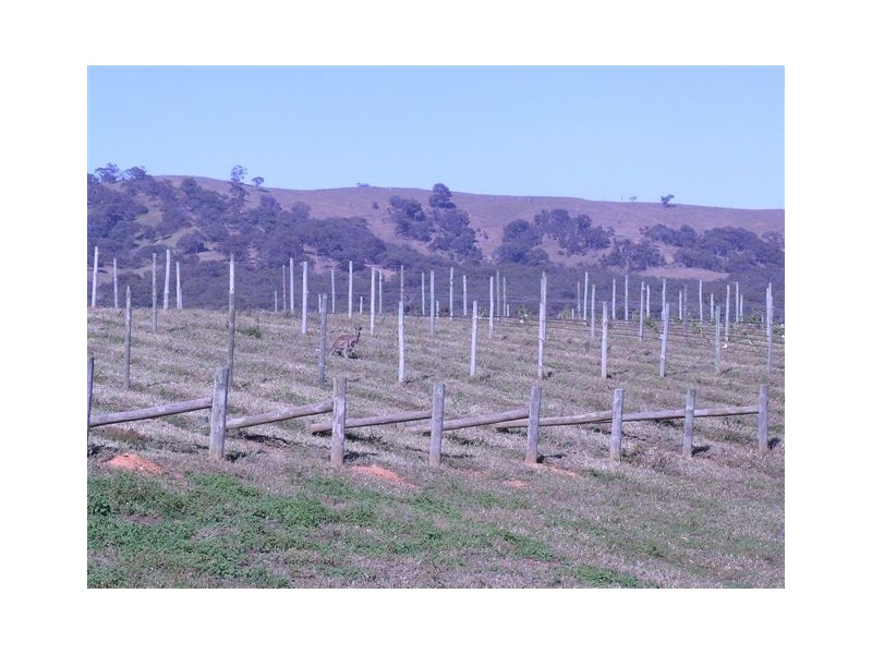 Landsborough VIC 3384