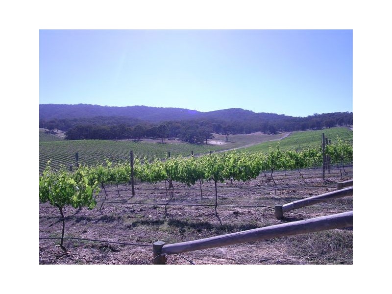 Landsborough VIC 3384