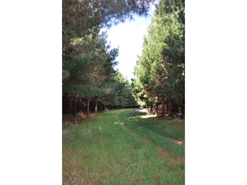 Mount Lonarch VIC 3468