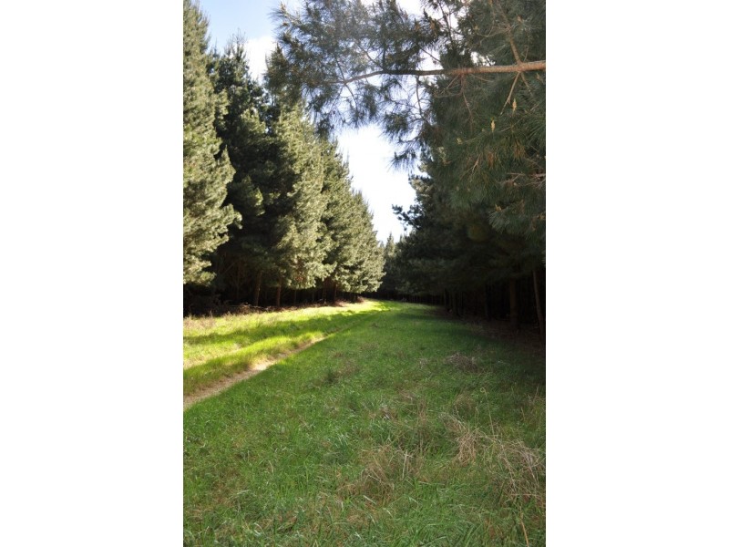 Mount Lonarch VIC 3468