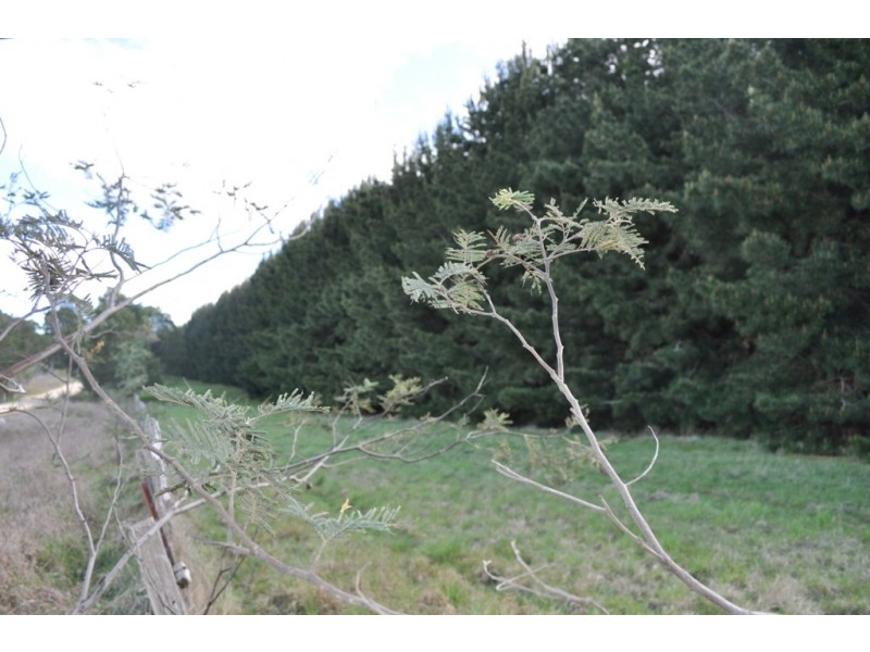 Mount Lonarch VIC 3468