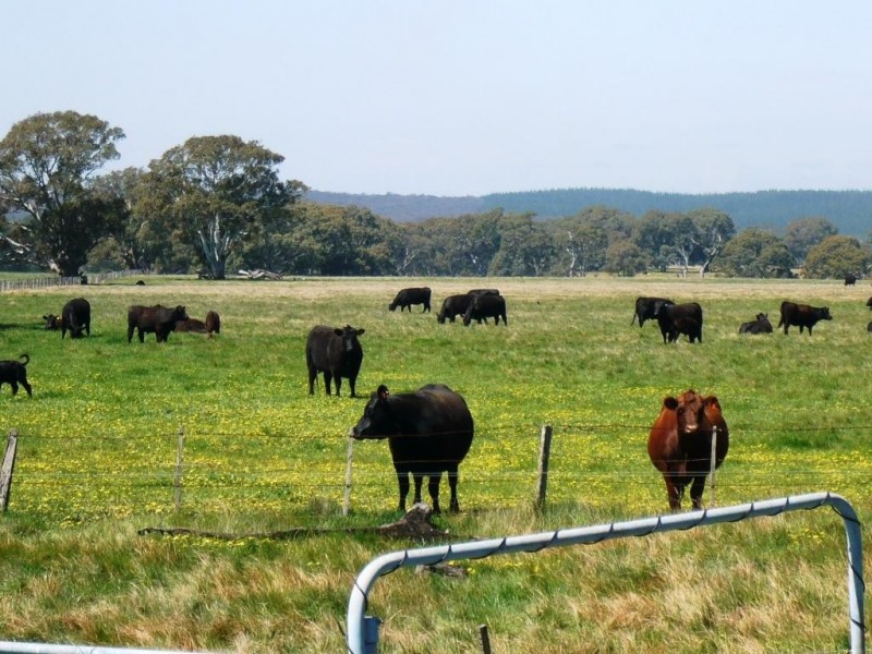 Kooroocheang VIC 3364
