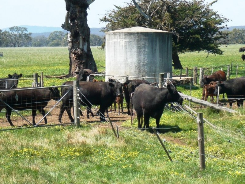 Kooroocheang VIC 3364