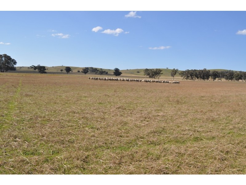Lot 2 and 12 Higgins Road, Navarre VIC 3384