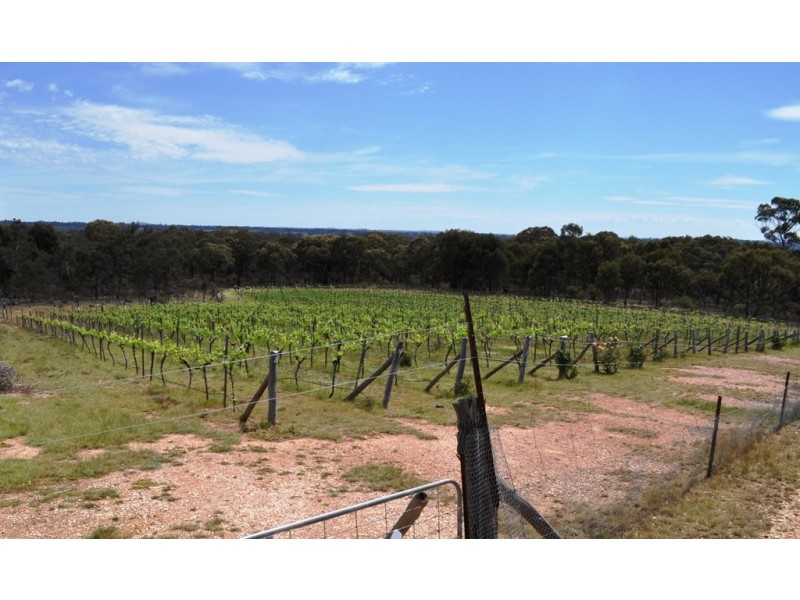 58 Davies Lane, Avoca VIC 3467