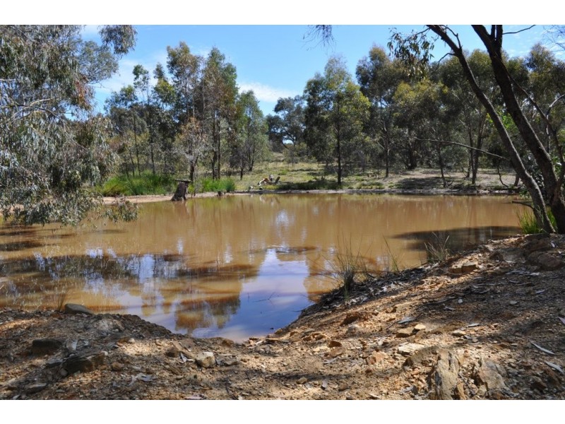 58 Davies Lane, Avoca VIC 3467