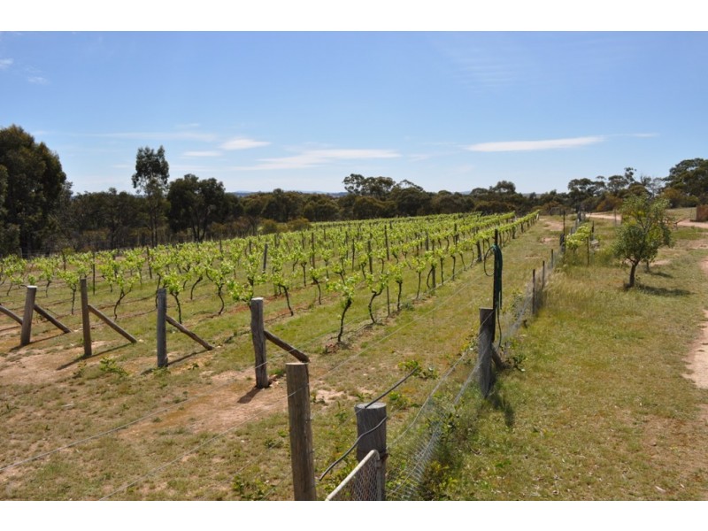 58 Davies Lane, Avoca VIC 3467