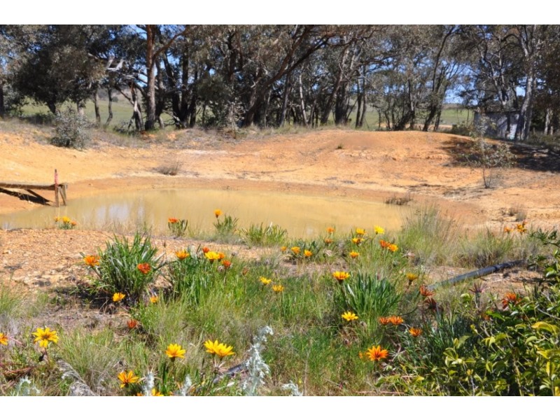 5630 Stawell-Avoca Rd, Moonambel VIC 3478