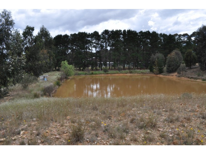 5439 Sunraysia Hwy, Avoca VIC 3467