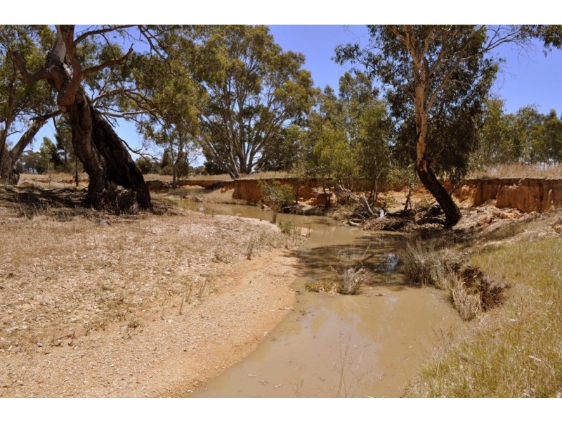Amphitheatre VIC 3468