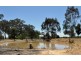 Amphitheatre VIC 3468