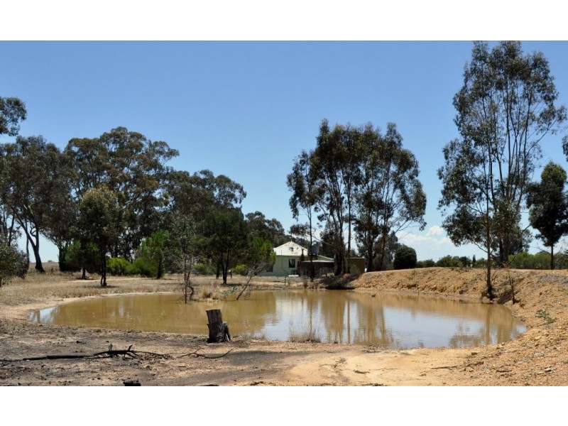 Amphitheatre VIC 3468