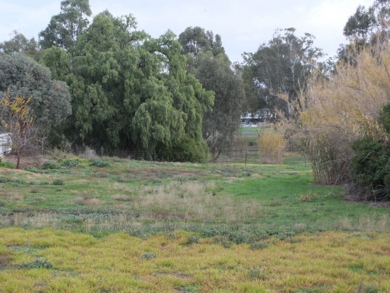 145 High Street, Avoca VIC 3467