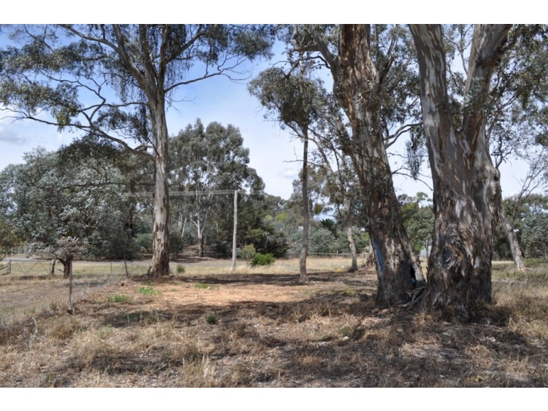 47 Boyce Street, Avoca VIC 3467