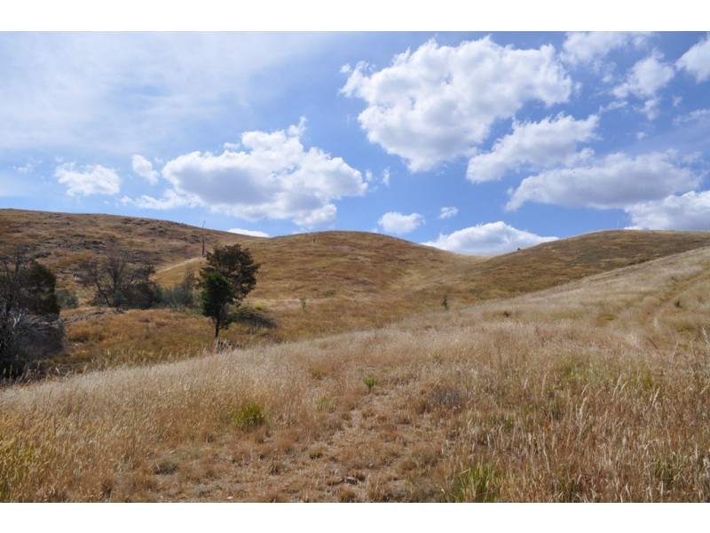 Amphitheatre VIC 3468