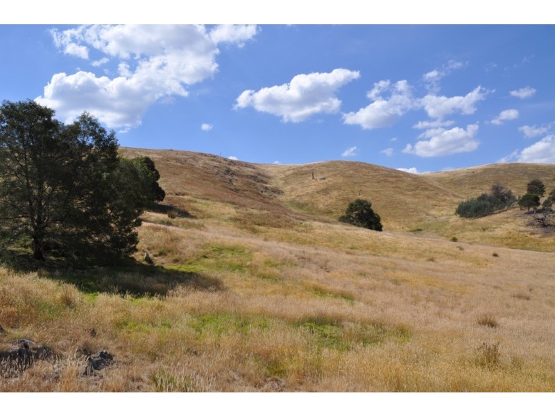 Amphitheatre VIC 3468